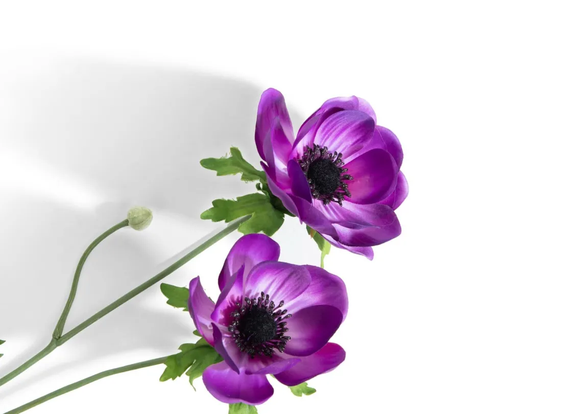 XOOON Anemone Spray H75cm kunstbloem in de kleur Paars - COCOmaison^ Woonaccessoires