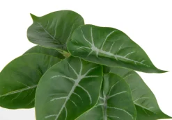 XOOON Anthurium Mini Bush H13cm kunstbloem in de kleur Groen^ Woonaccessoires