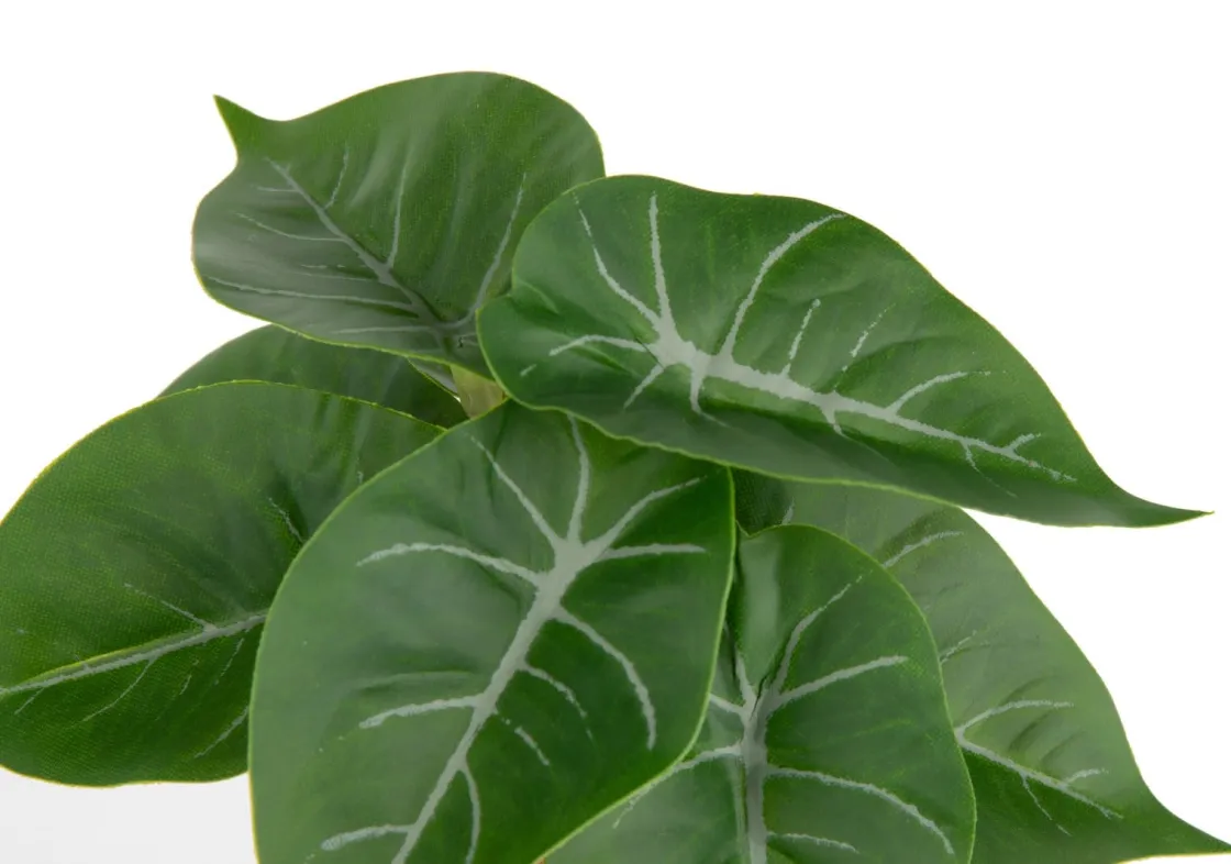 XOOON Anthurium Mini Bush H13cm kunstbloem in de kleur Groen^ Woonaccessoires