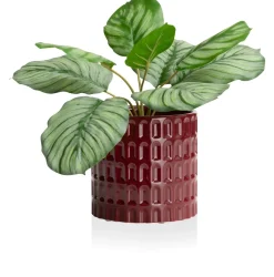XOOON Bisko pot (H16.5cm) in de kleur rod - COCOmaison^ Woonaccessoires