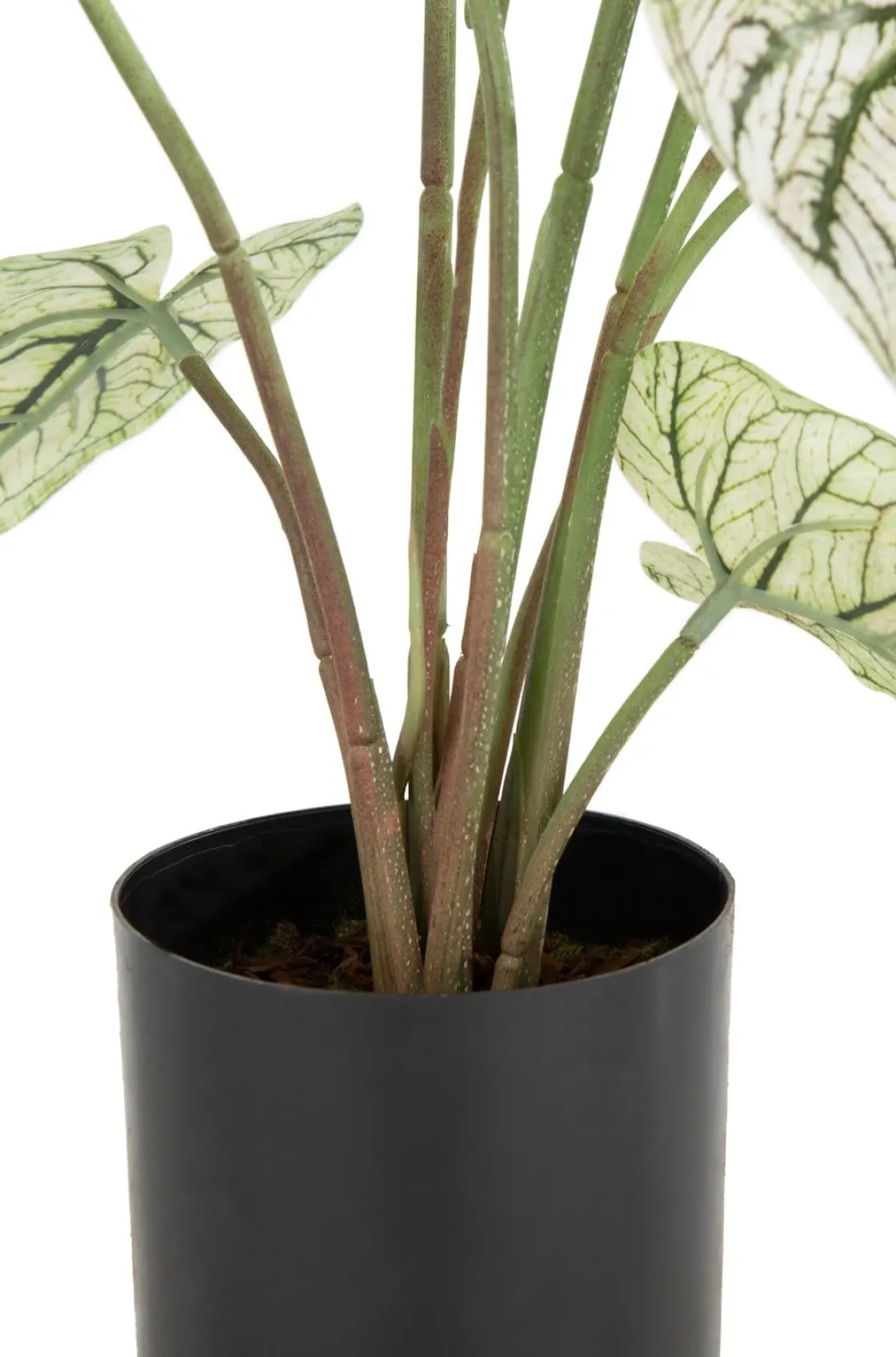 XOOON Caladium H60cm kunstplant in de kleur Groen - COCOmaison^ Woonaccessoires