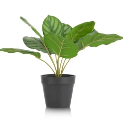 XOOON Calathea Orbifolia H45cm kunstplant in de kleur Groen^ Woonaccessoires