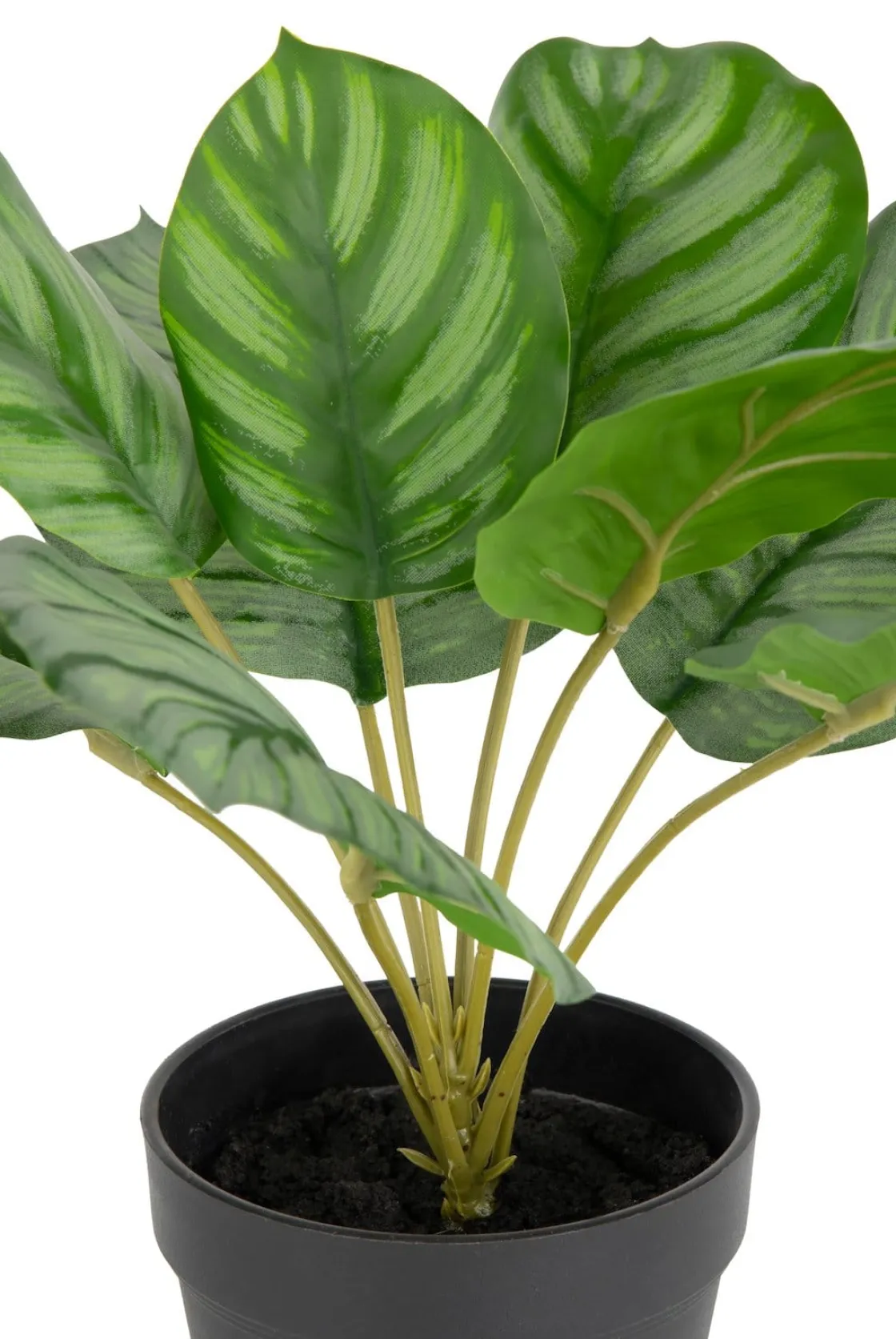 XOOON Calathea Orbifolia H45cm kunstplant in de kleur Groen^ Woonaccessoires