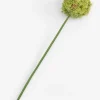 XOOON COCOmaison, Allium spray kunstbloem H90cm - Groen^ Woonaccessoires