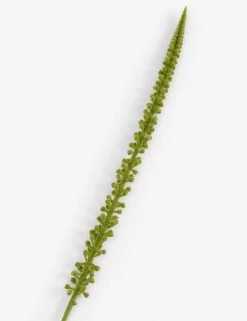 XOOON COCOmaison, Donkey Tail kunstbloem H86cm - Groen^ Woonaccessoires