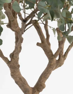 XOOON COCOmaison, Eucalyptus Tree kunstplant H240cm - Groen^ Woonaccessoires