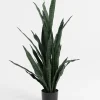 XOOON COCOmaison, Sansevieria kunstplant H115cm - Groen^ Woonaccessoires