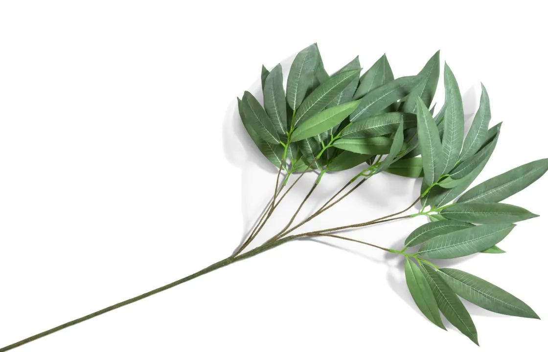 XOOON Eucalyptus branch kunstplant groen H95cm - COCOmaison^ Woonaccessoires