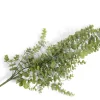 XOOON Eucalyptus Hanging Vine in de kleur Groen - COCOmaison^ Woonaccessoires