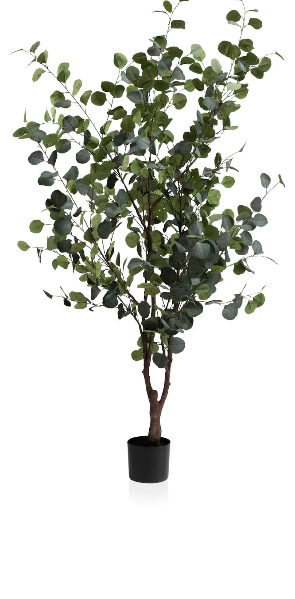 XOOON Eucalyptus Tree kunstplant (H180cm) in de kleur Groen^ Woonaccessoires