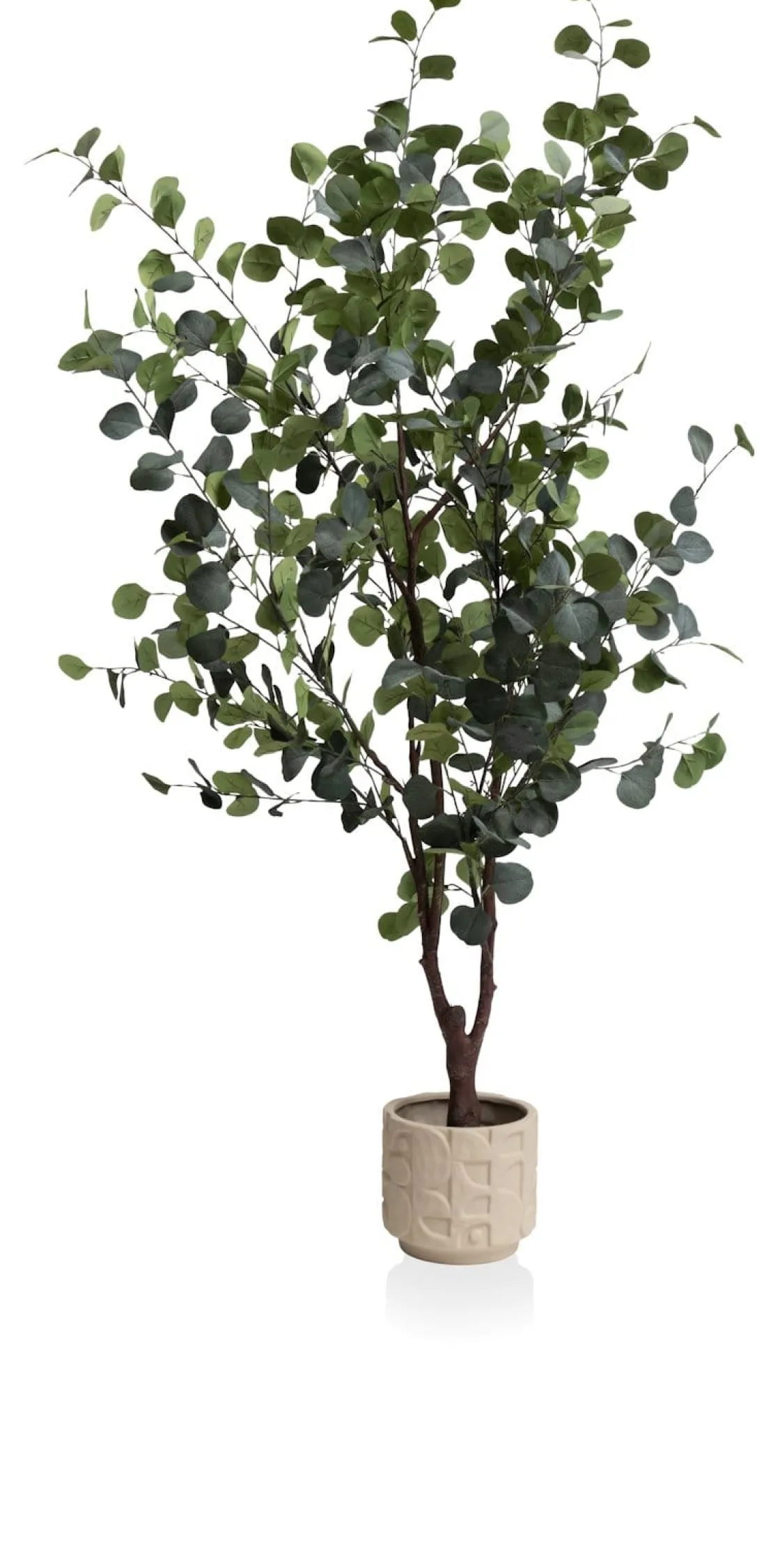 XOOON Eucalyptus Tree kunstplant (H180cm) in de kleur Groen^ Woonaccessoires
