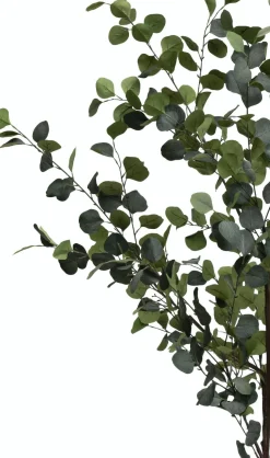 XOOON Eucalyptus Tree kunstplant (H180cm) in de kleur Groen^ Woonaccessoires