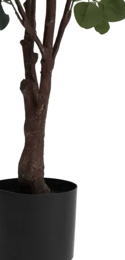 XOOON Eucalyptus Tree kunstplant (H180cm) in de kleur Groen^ Woonaccessoires