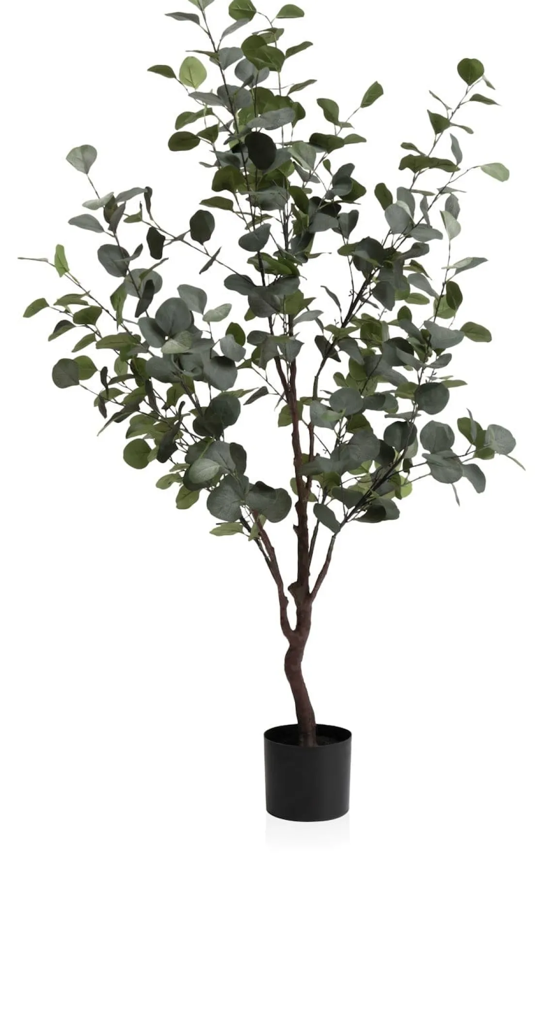 XOOON Eucalyptus Tree kunstplant (H140cm) in de kleur Groen^ Woonaccessoires