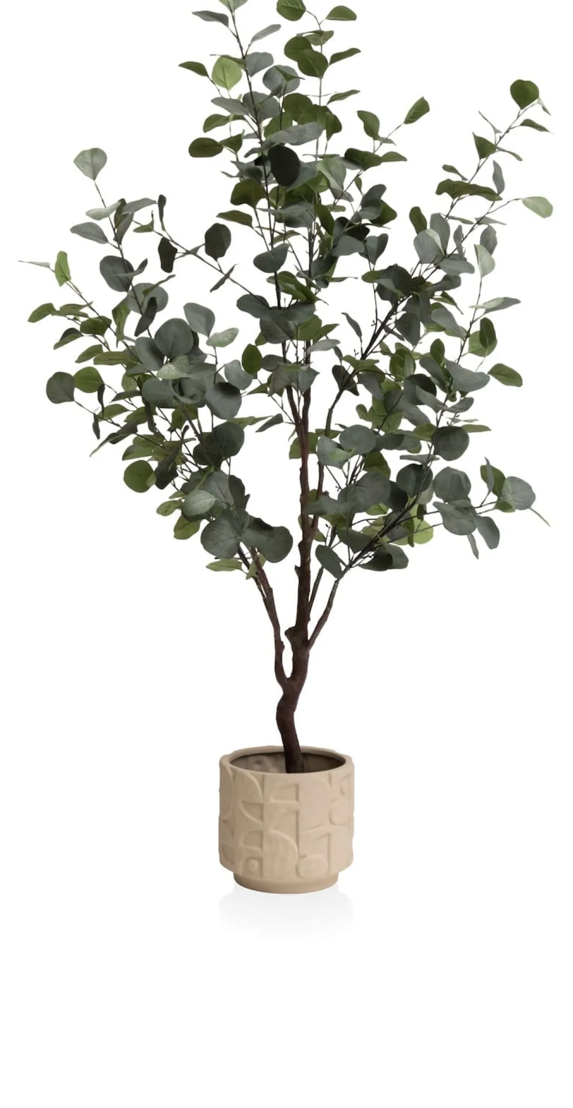 XOOON Eucalyptus Tree kunstplant (H140cm) in de kleur Groen^ Woonaccessoires