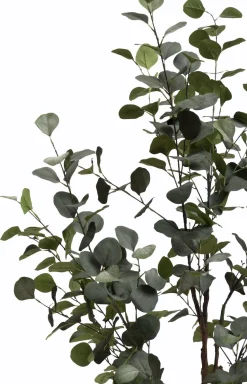 XOOON Eucalyptus Tree kunstplant (H140cm) in de kleur Groen^ Woonaccessoires