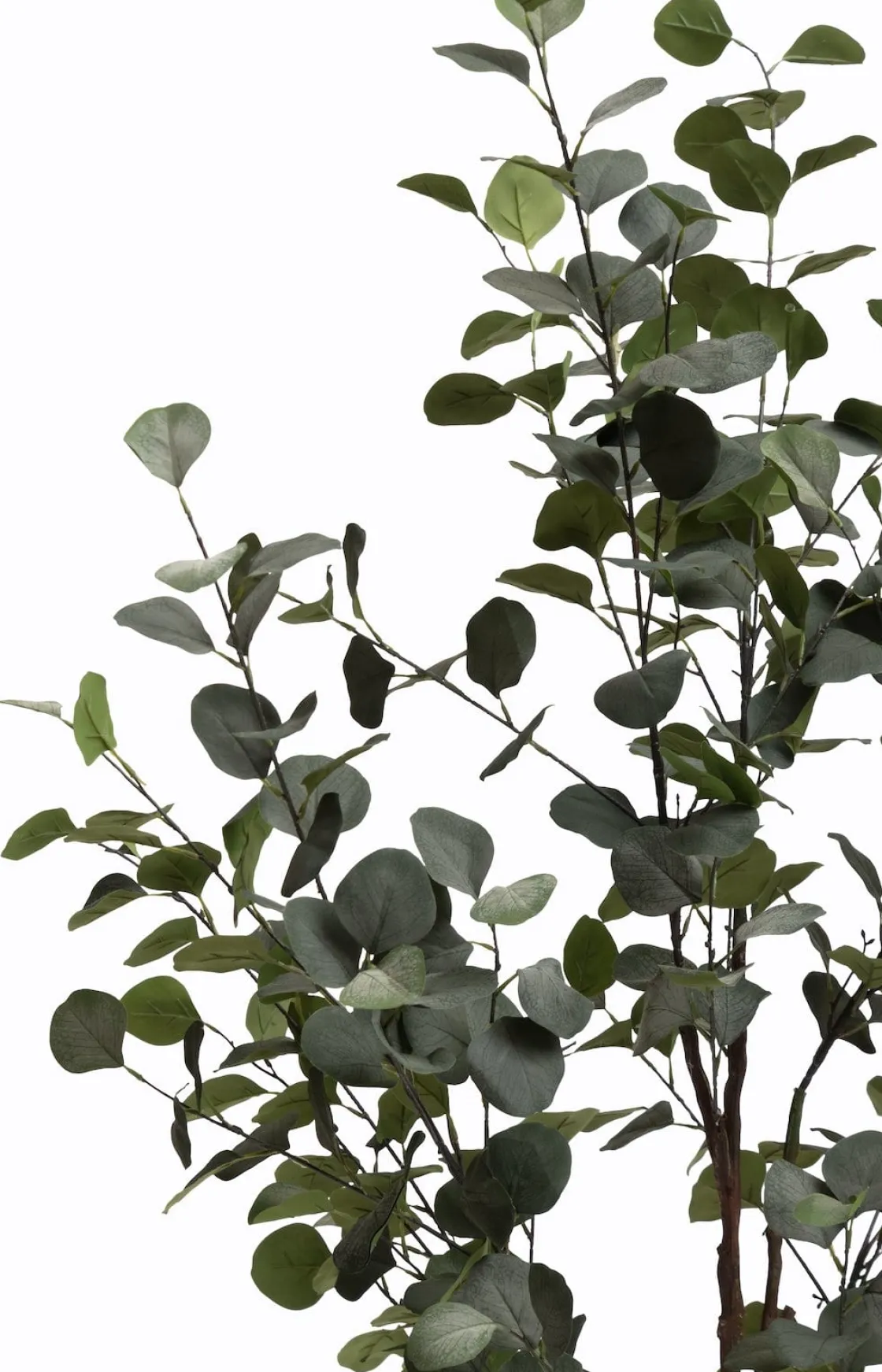 XOOON Eucalyptus Tree kunstplant (H140cm) in de kleur Groen^ Woonaccessoires