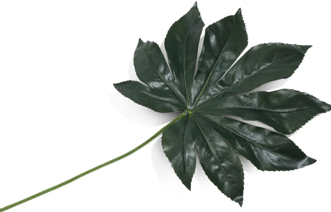 XOOON Kunstbloem h55 cm Fatsia Leaf | COCOmaison^ Woonaccessoires