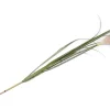 XOOON Kunstbloem h120 cm Pampus Grass | COCOmaison^ Woonaccessoires