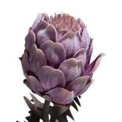 XOOON Kunstplant h63 cm Protea Spray | COCOmaison^ Woonaccessoires