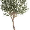 XOOON Olive Tree H180cm kunstplant in de kleur Groen - COCOmaison^ Woonaccessoires