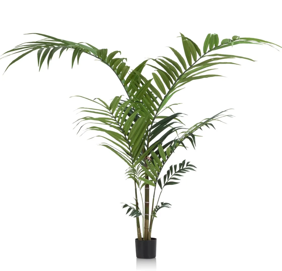 XOOON Palm plant h210 cm Kentia | COCOmaison^ Woonaccessoires