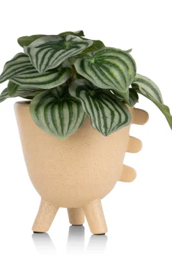 XOOON Peperomia Bush H25cm kunstbloem in de kleur Groen - COCOmaison^ Woonaccessoires