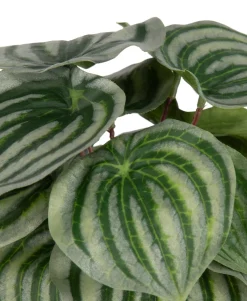 XOOON Peperomia Bush H25cm kunstbloem in de kleur Groen - COCOmaison^ Woonaccessoires
