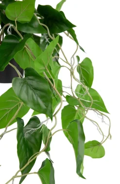 XOOON Philodendron Scandens H80cm in de kleur Groen - COCOmaison^ Woonaccessoires
