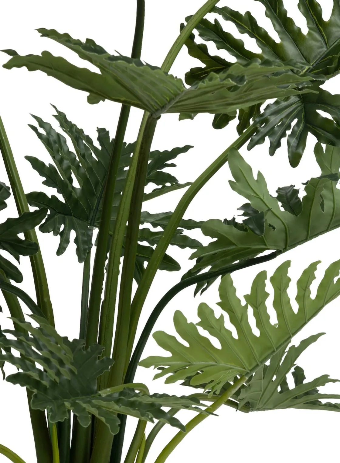 XOOON Philodendron Selloum kunstplant (H125cm) in de kleur Groen^ Woonaccessoires