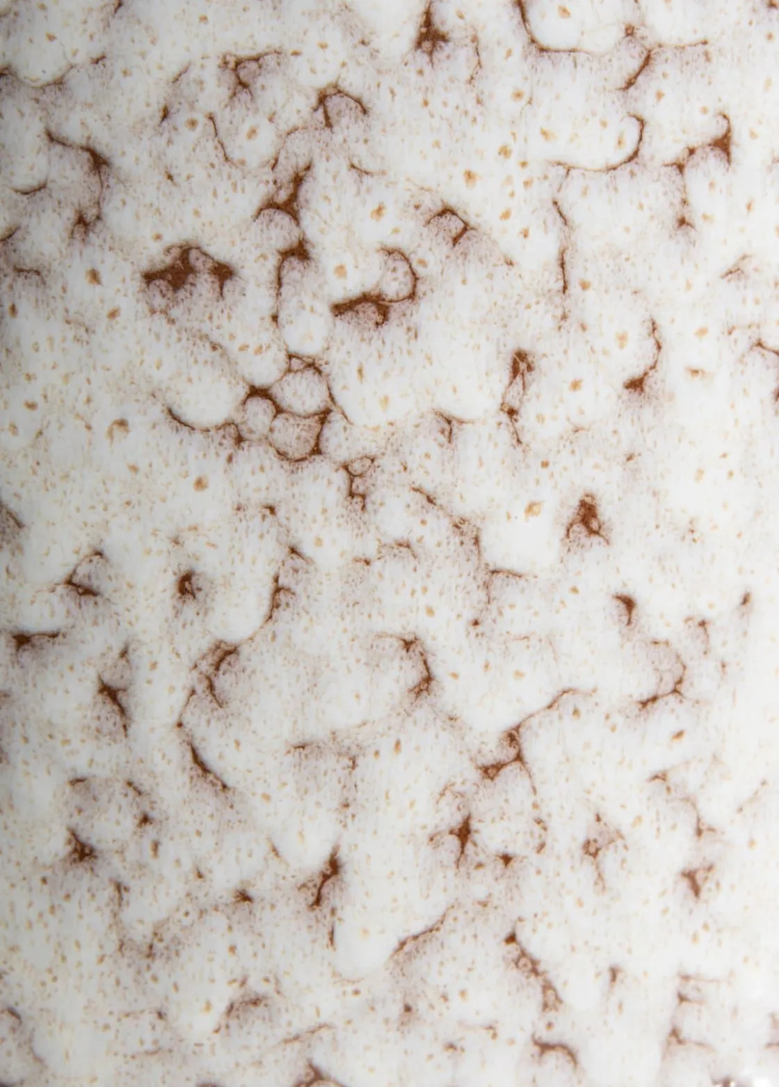 XOOON Safia vaas H15cm in de kleur Beige - COCOmaison^ Woonaccessoires