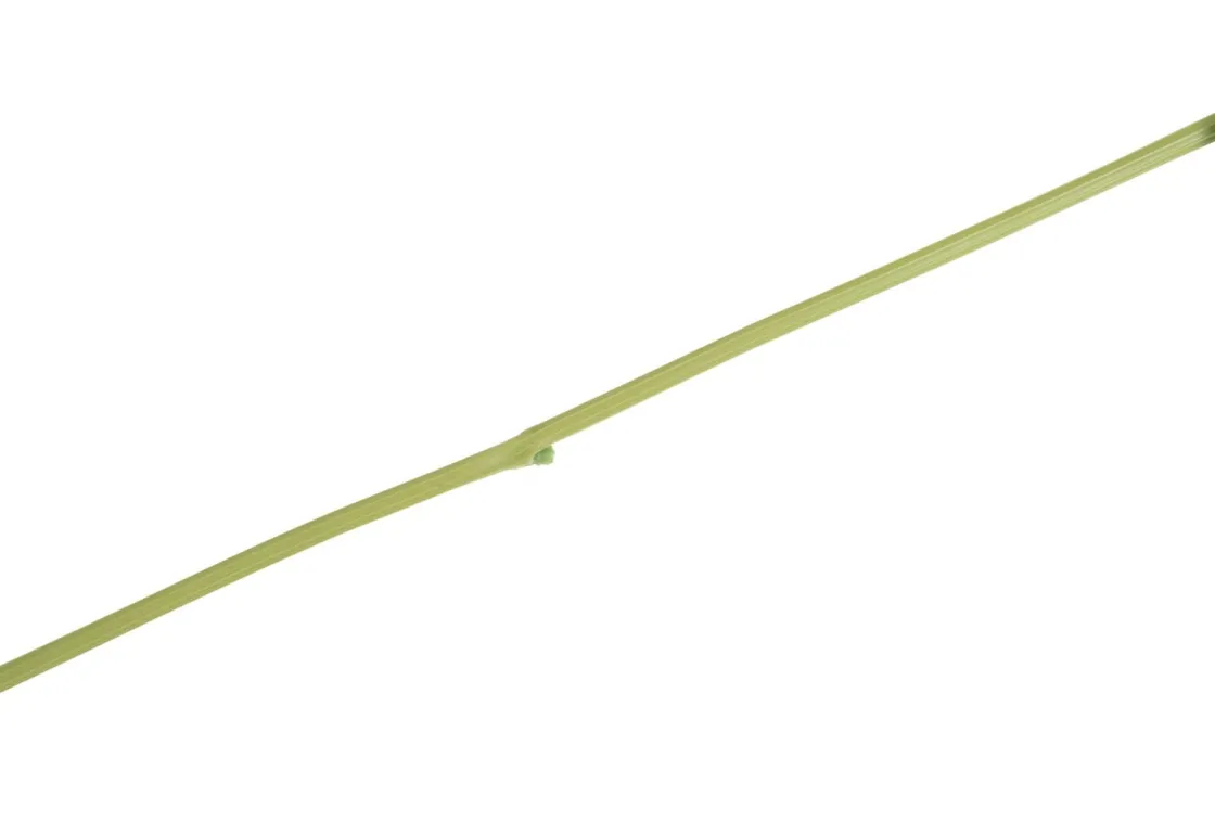 XOOON Tropaeolum Spray H88cm kunstbloem in de kleur Groen^ Woonaccessoires